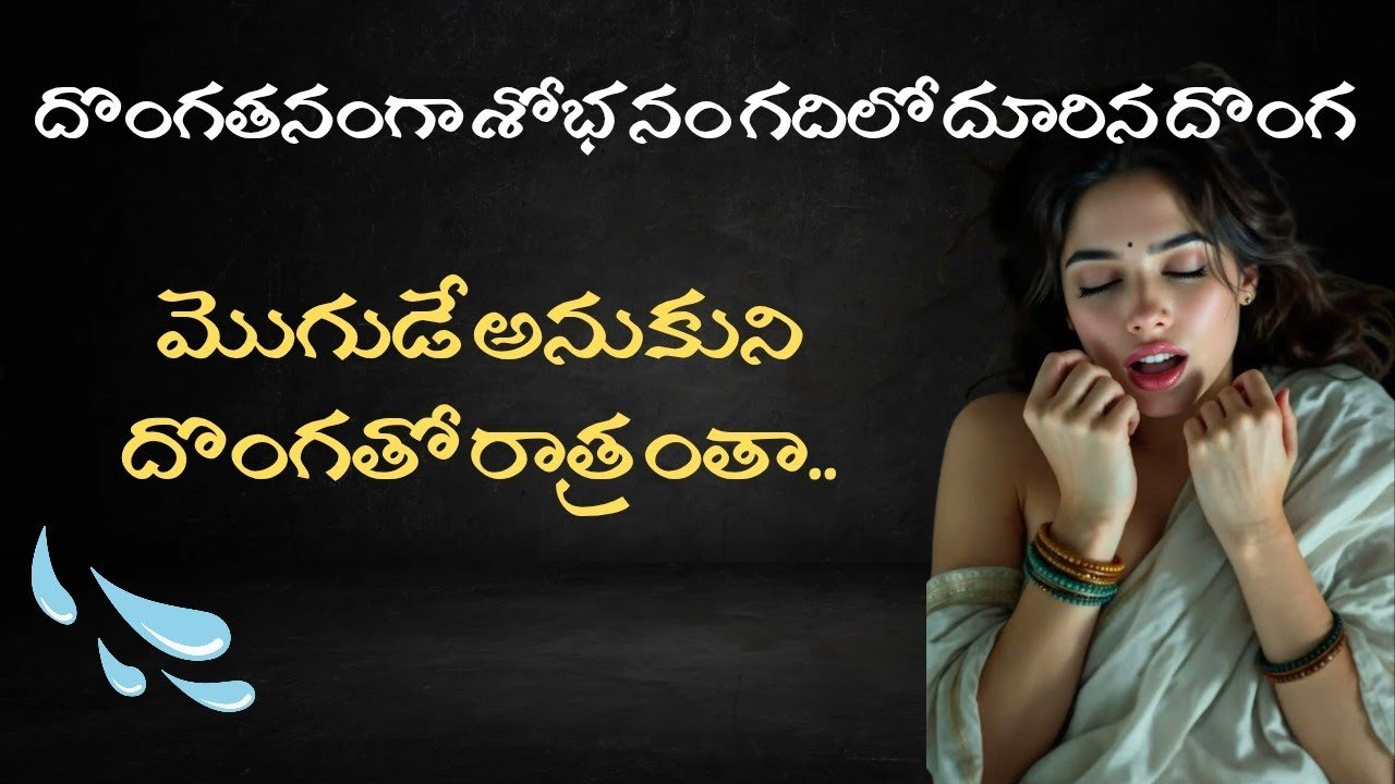 దొంగతో శోభనం Romantic stories